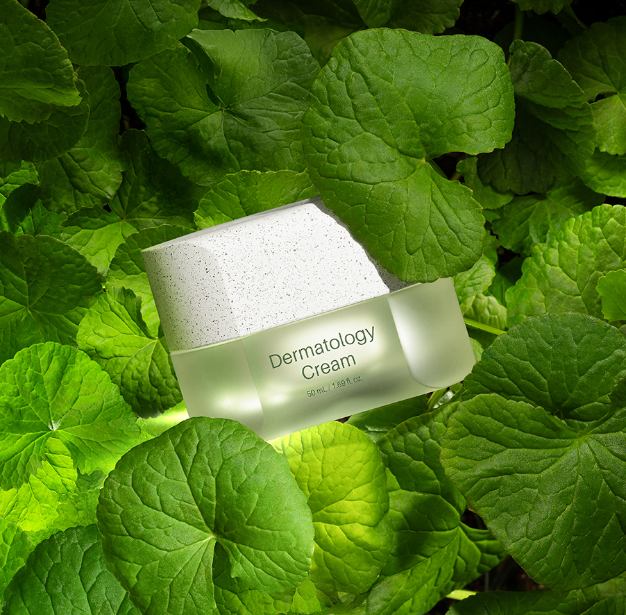 더마톨로지 크림