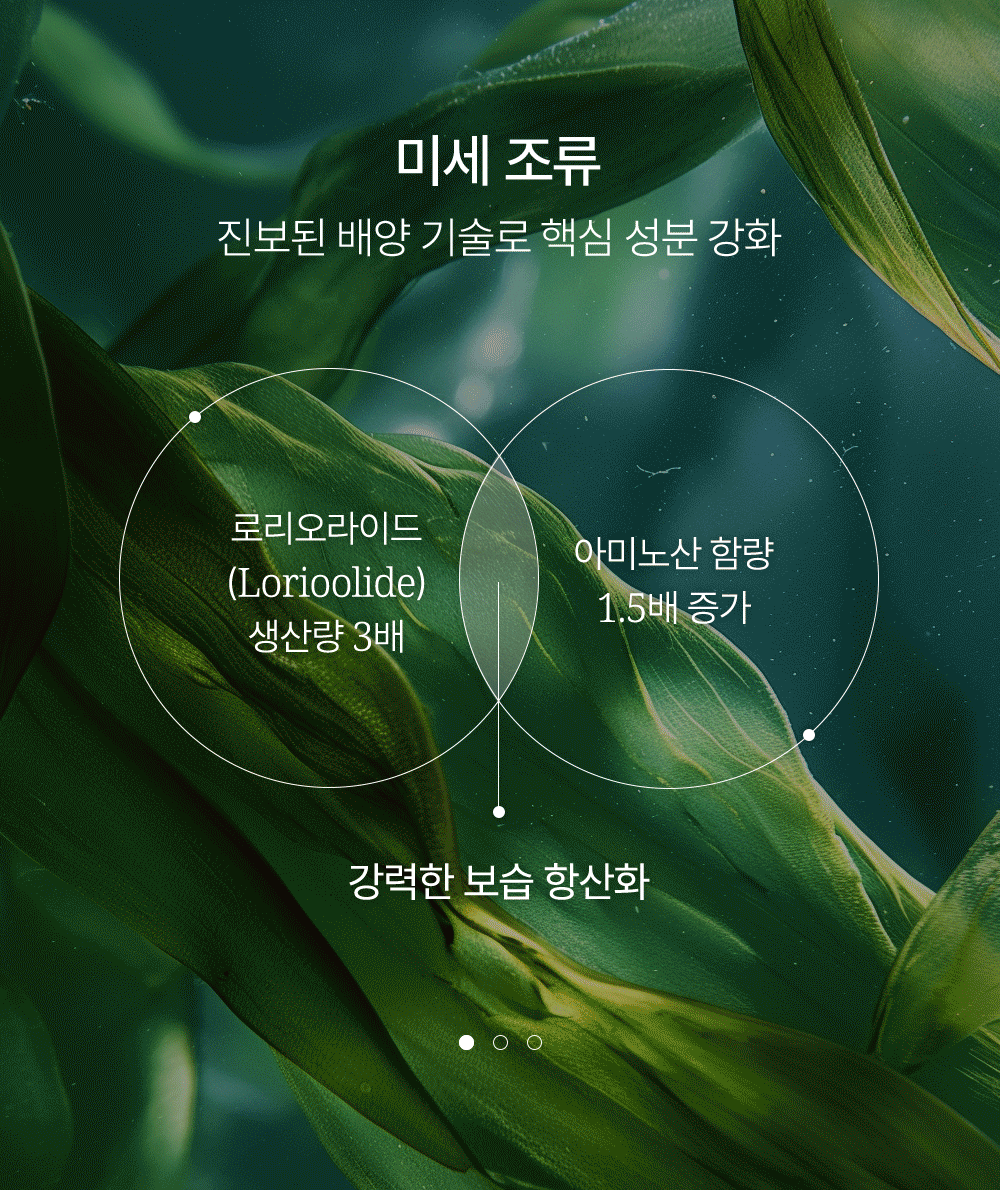 c78d31c6-4ccd-4e0b-9dc3-4fe29d73eb70